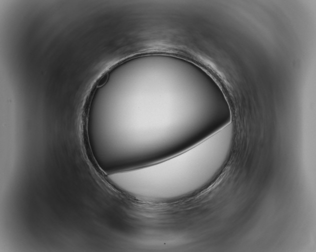 X0000096211463200801180959