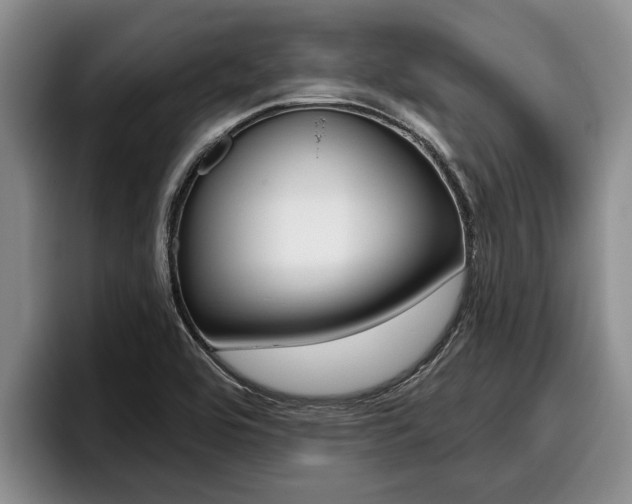 X0000096211464200801180959