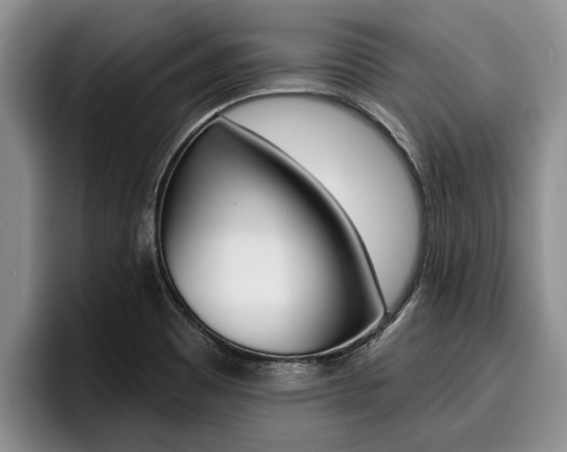 X0000096211465200801180959
