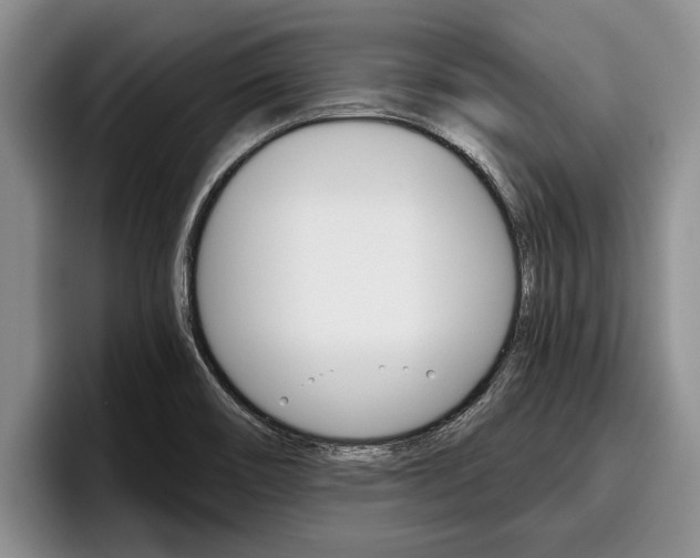 X0000096211466200801180959