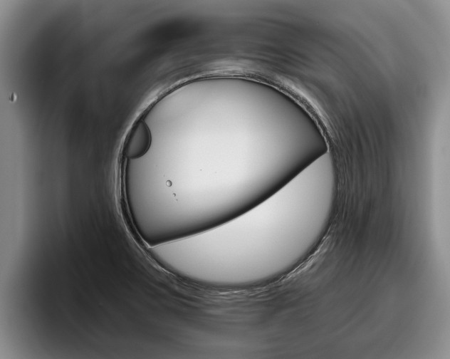 X0000096211467200801180959