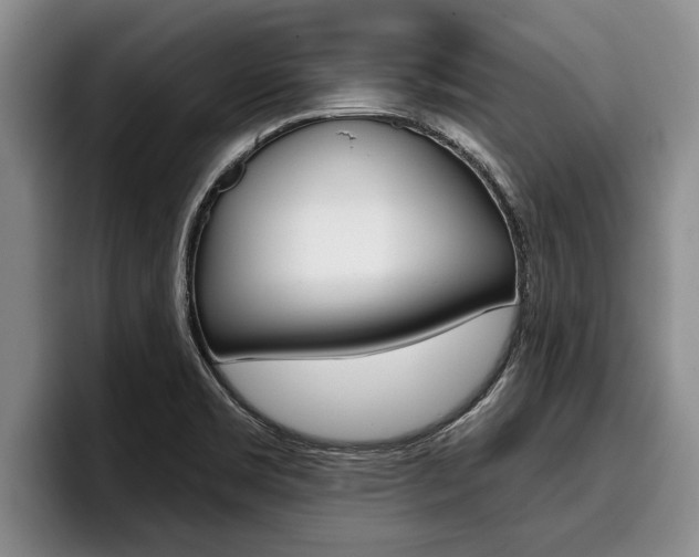 X0000096211469200801180959