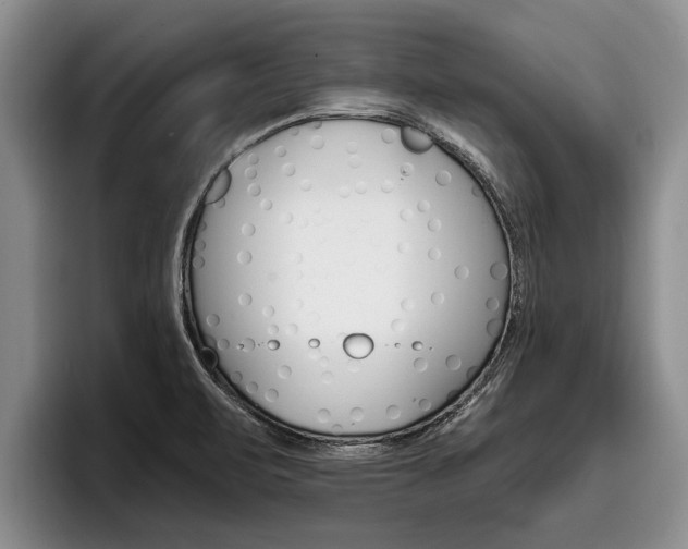 X0000096211471200801180959