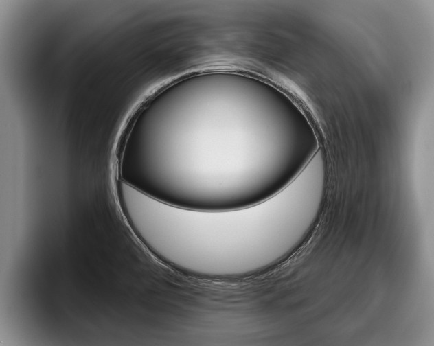 X0000096211472200801180959