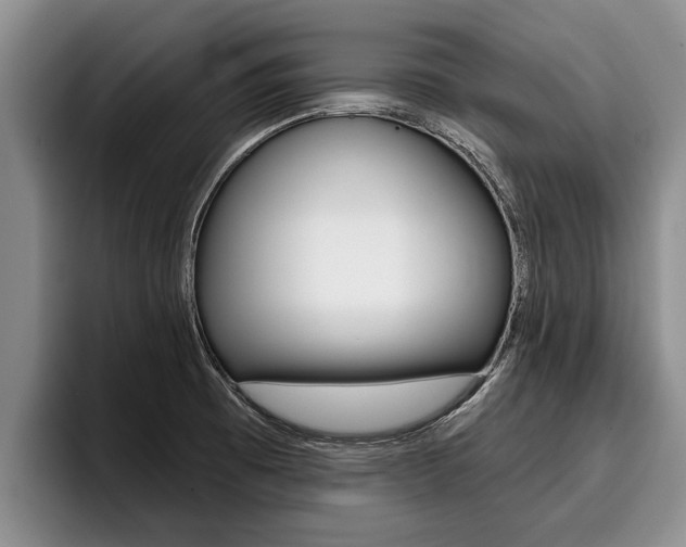 X0000096211473200801180959