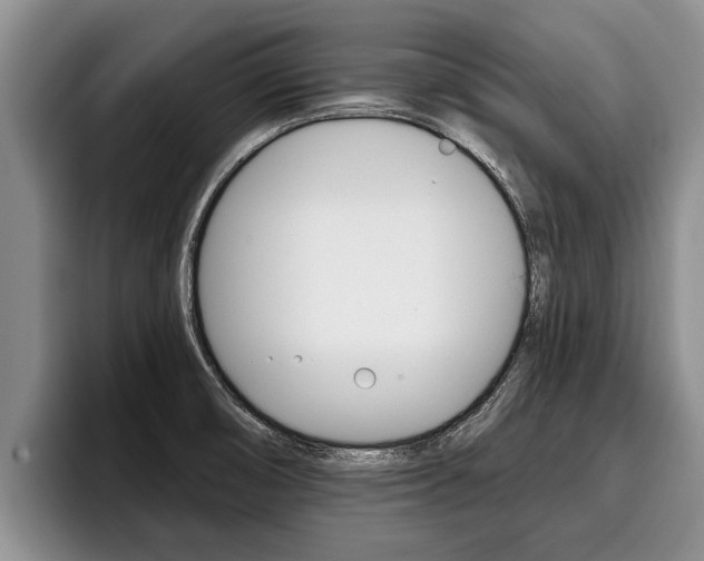 X0000096211474200801180959