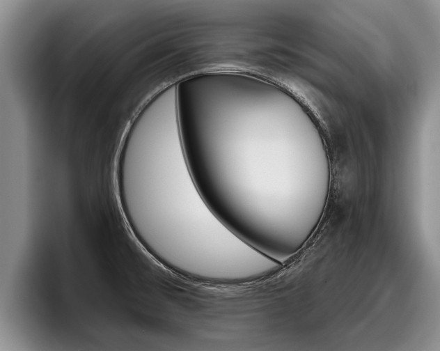 X0000096211476200801180959