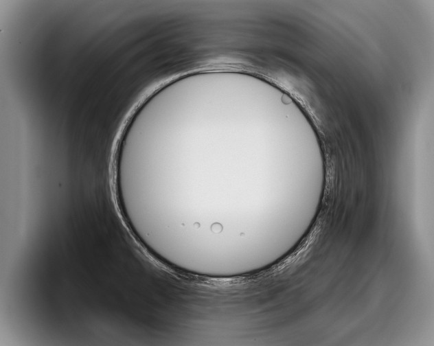 X0000096211478200801180959