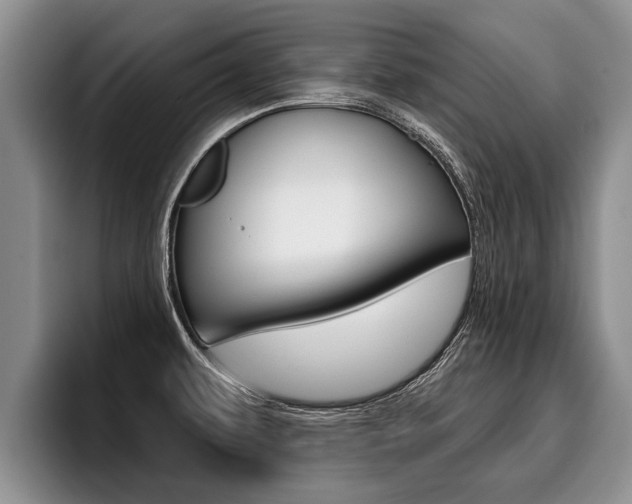 X0000096211479200801180959