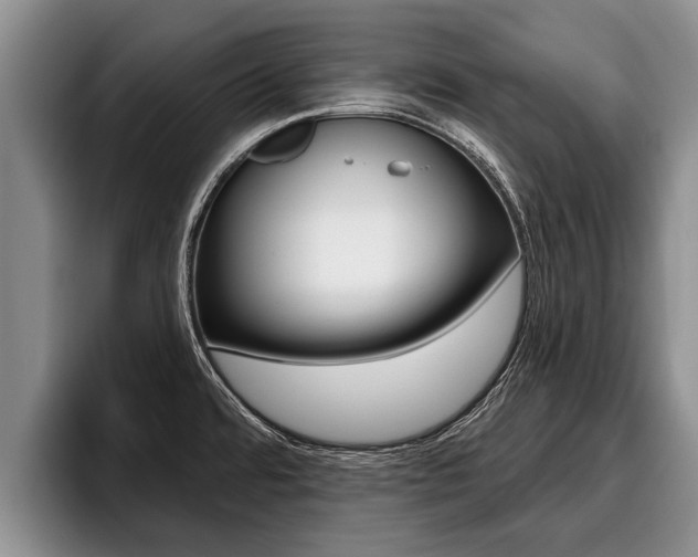 X0000096211480200801180959