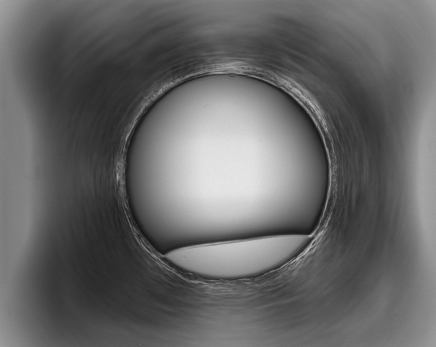X0000096211481200801180959
