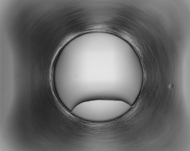 X0000096211482200801180959