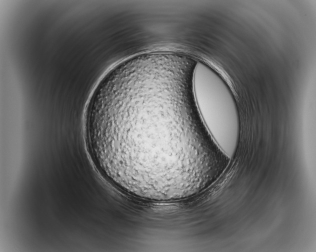 X0000096211483200801180959