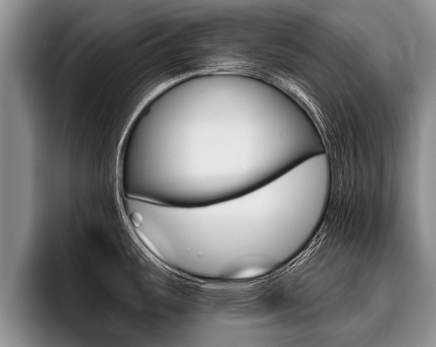 X0000096211487200801180959