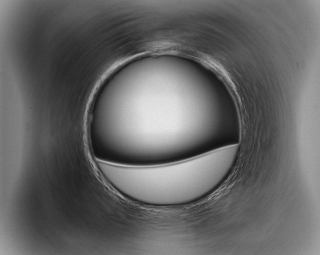 X0000096211488200801180959
