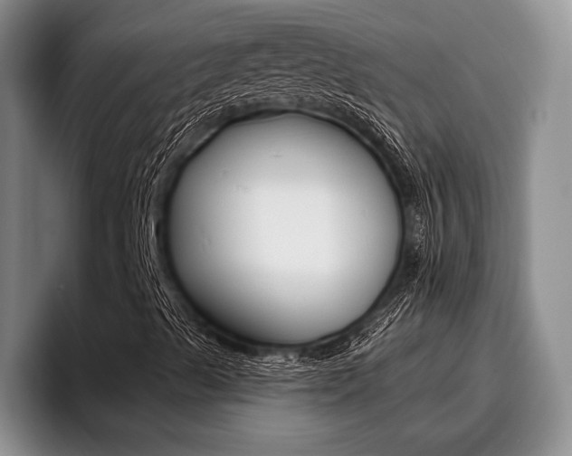 X0000096211489200801180958