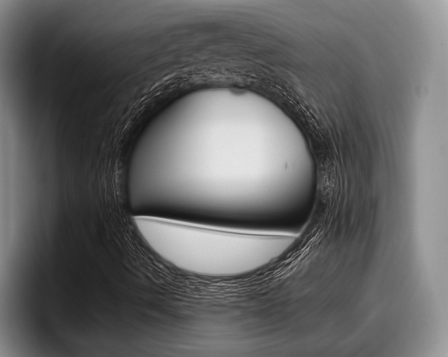 X0000096211490200801180958