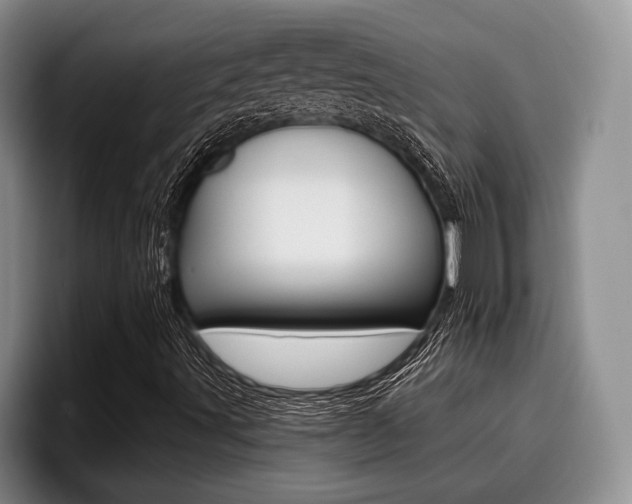 X0000096211491200801180958