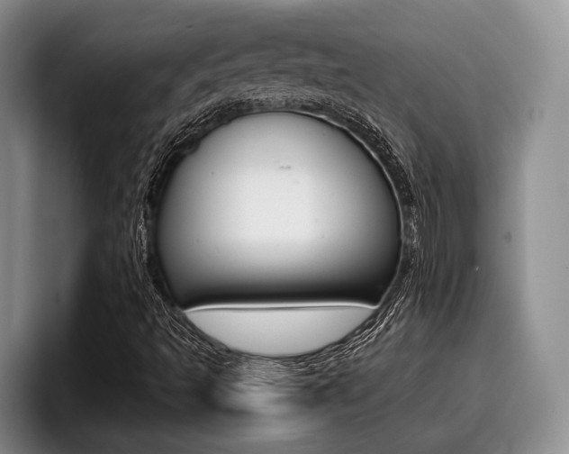 X0000096211493200801180959