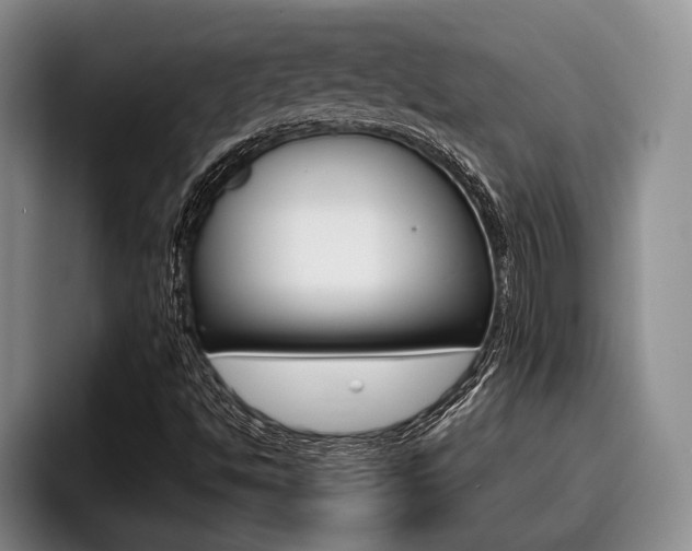 X0000096211494200801180959