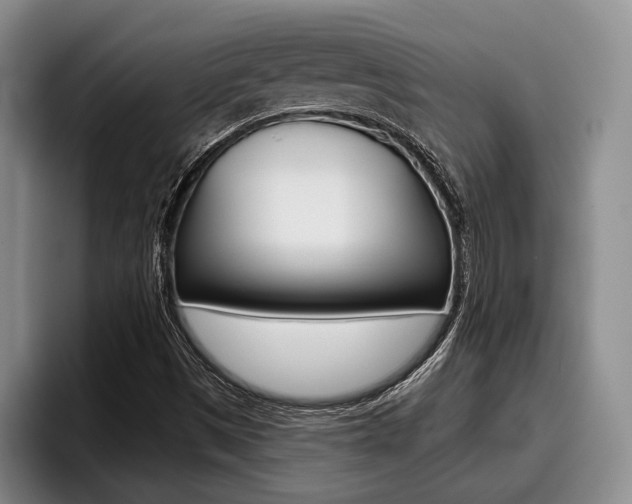 X0000096211497200801180959