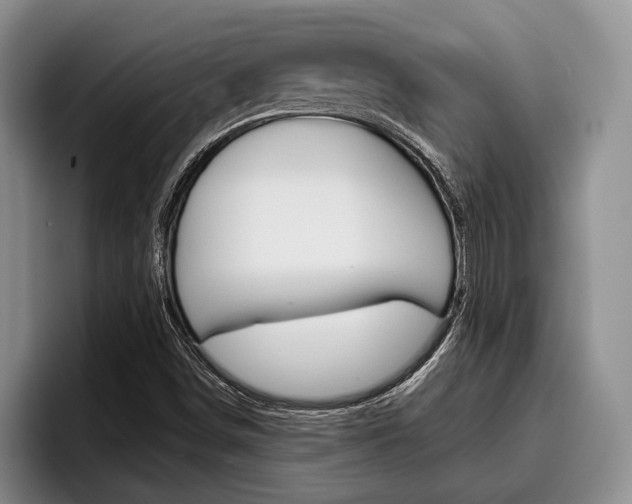 X0000096211498200801180959