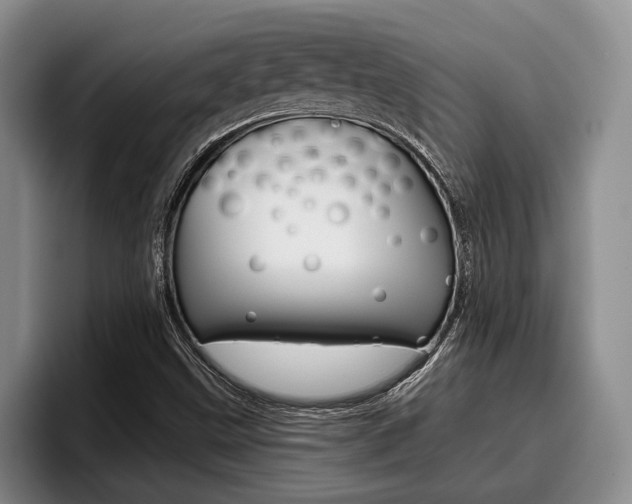 X0000096211499200801180959