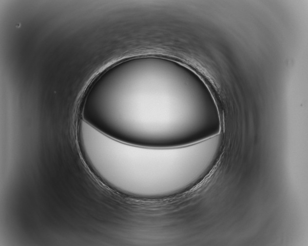 X0000096211500200801180959