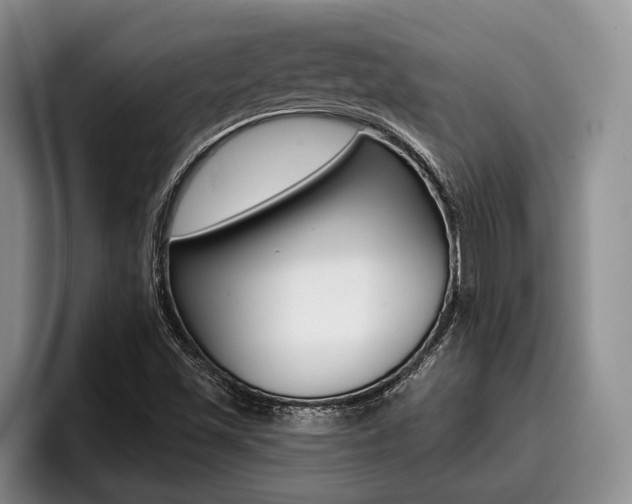 X0000096211501200801180959