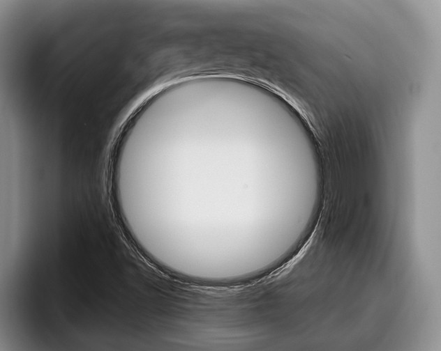 X0000096211502200801180959