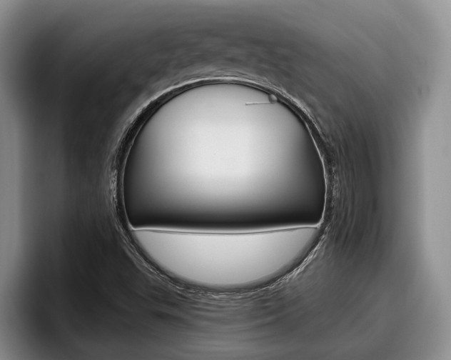 X0000096211503200801180959