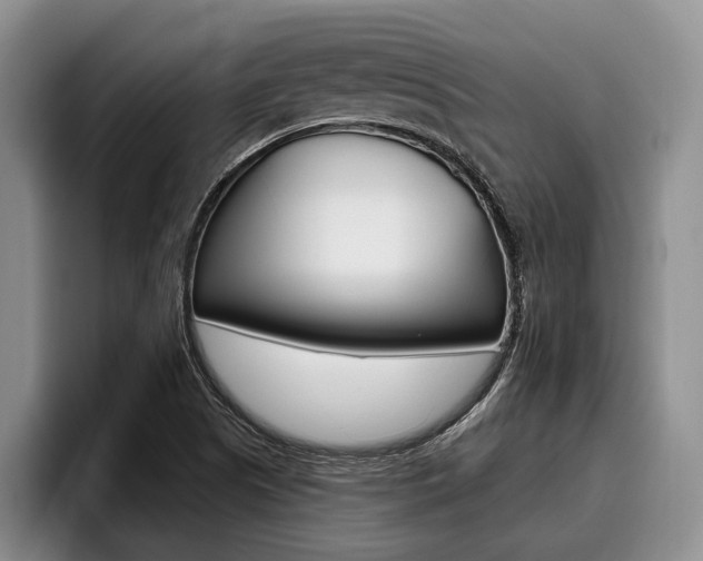 X0000096211505200801180959