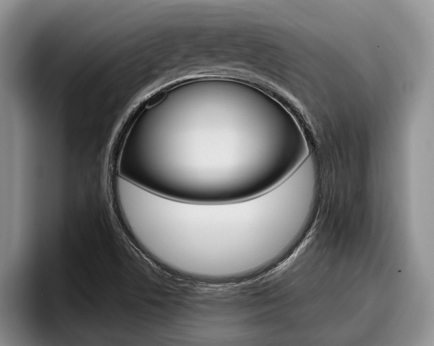 X0000096211506200801180959
