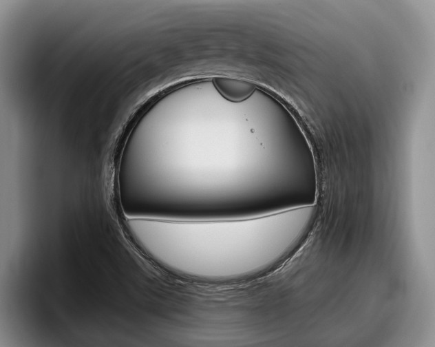 X0000096211507200801180959