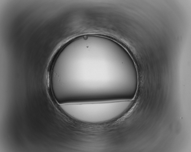 X0000096211509200801180959