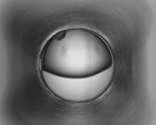 X0000096211510200801180959