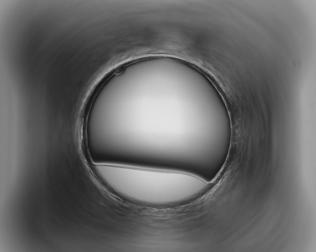 X0000096211511200801180959