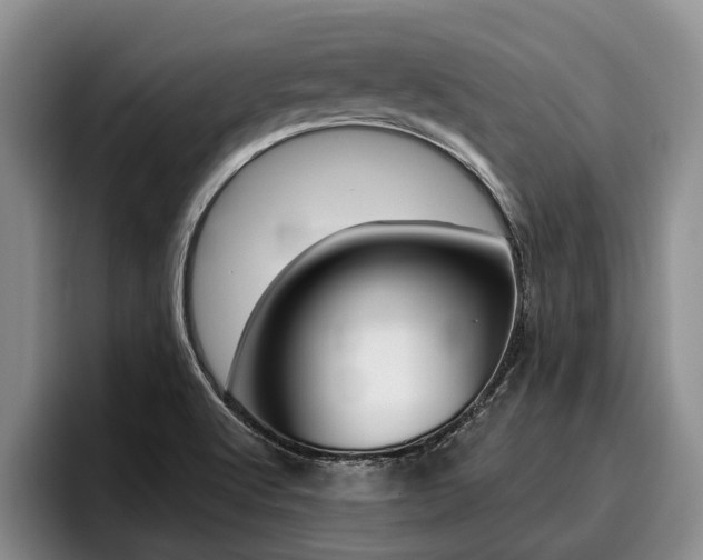 X0000096211512200801180959