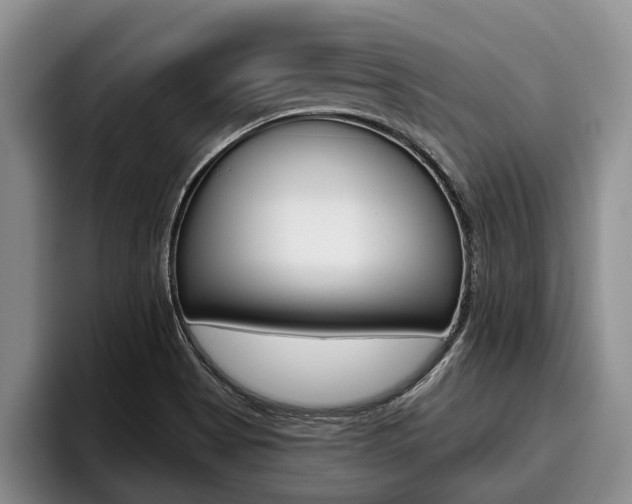 X0000096211513200801180959