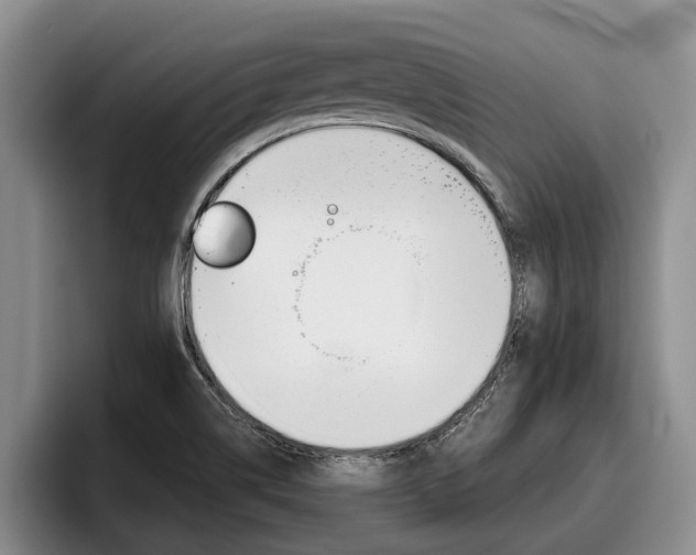 X0000096211514200801180959