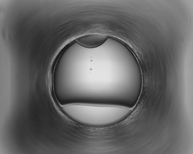X0000096211515200801180959