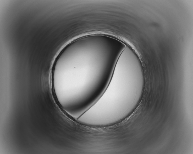 X0000096211516200801180959