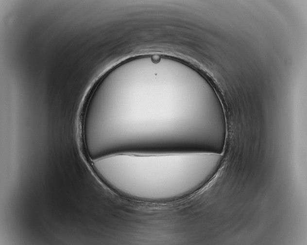 X0000096211517200801180959