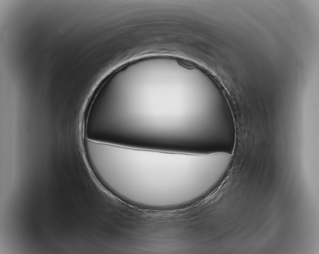 X0000096211519200801180959