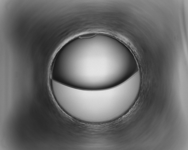 X0000096211520200801180959