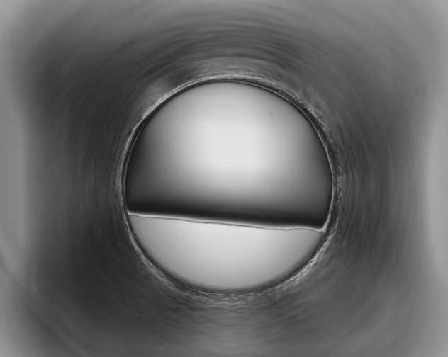 X0000096211521200801180959