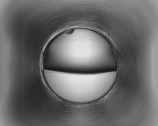 X0000096211522200801180959
