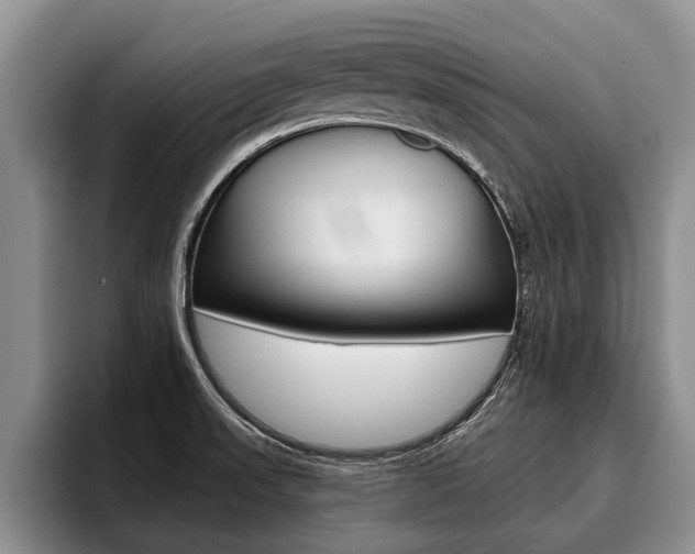 X0000096211523200801180959