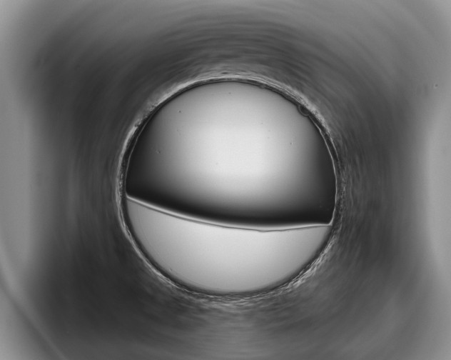 X0000096211525200801180959