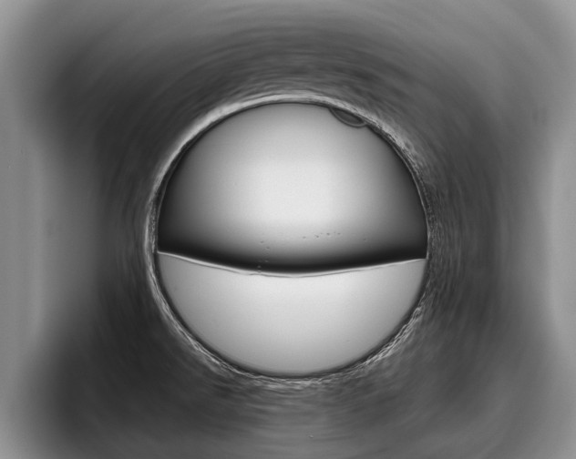 X0000096211526200801180959